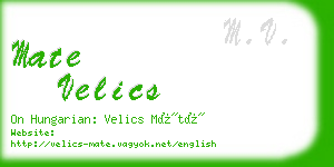 mate velics business card